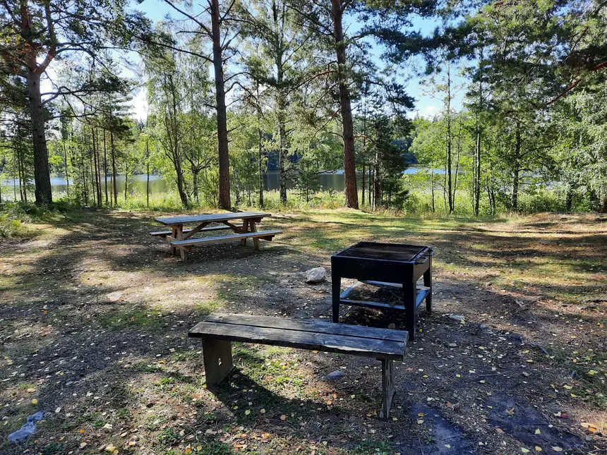 Grillplats i skogen under hösten, en sjö skymtas i bakgrunden