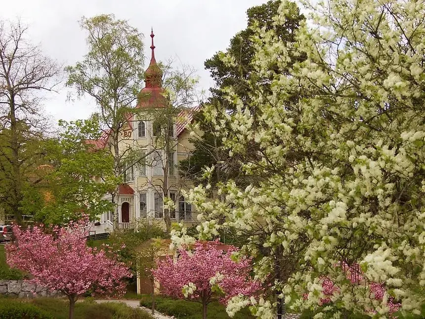 Ett stort hus med spira omgiven av blommande träd, både rosa och vita.